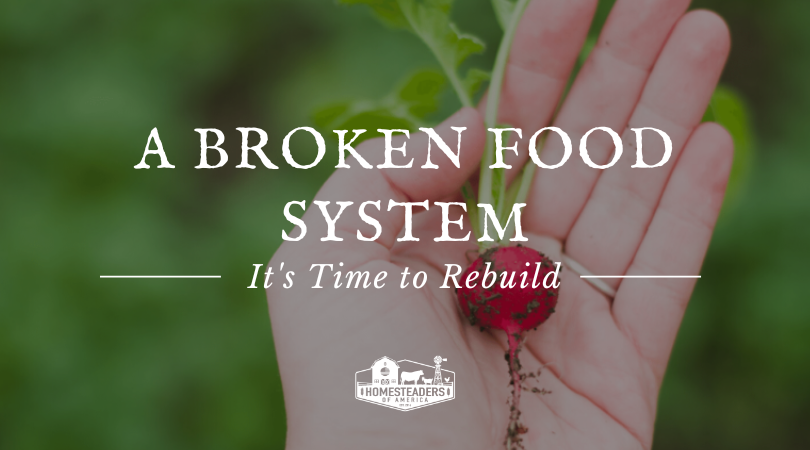 A Broken Meals System | It’s Time to Rebuild