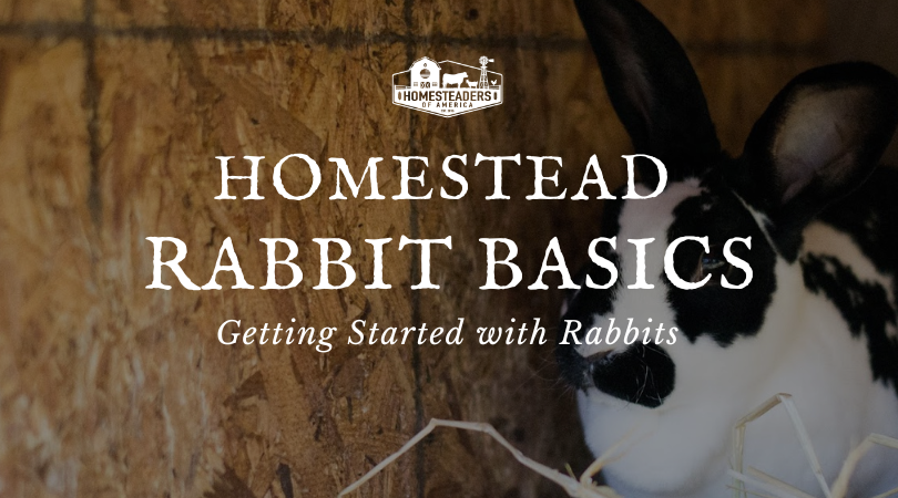 Homestead Rabbit Fundamentals – Homesteaders of America