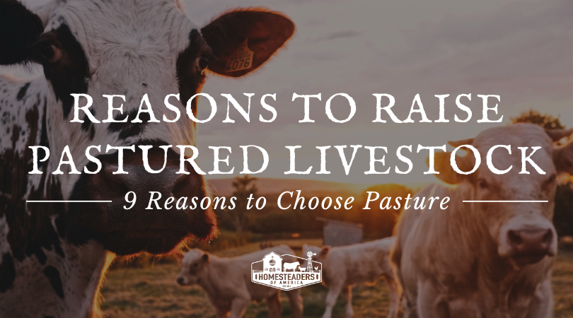 Causes to Improve Pastured Livestock