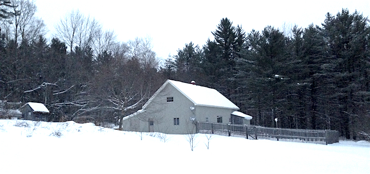 This Month On The Homestead: Snow Eradicating, Snowshoeing, and… Additional Snow!