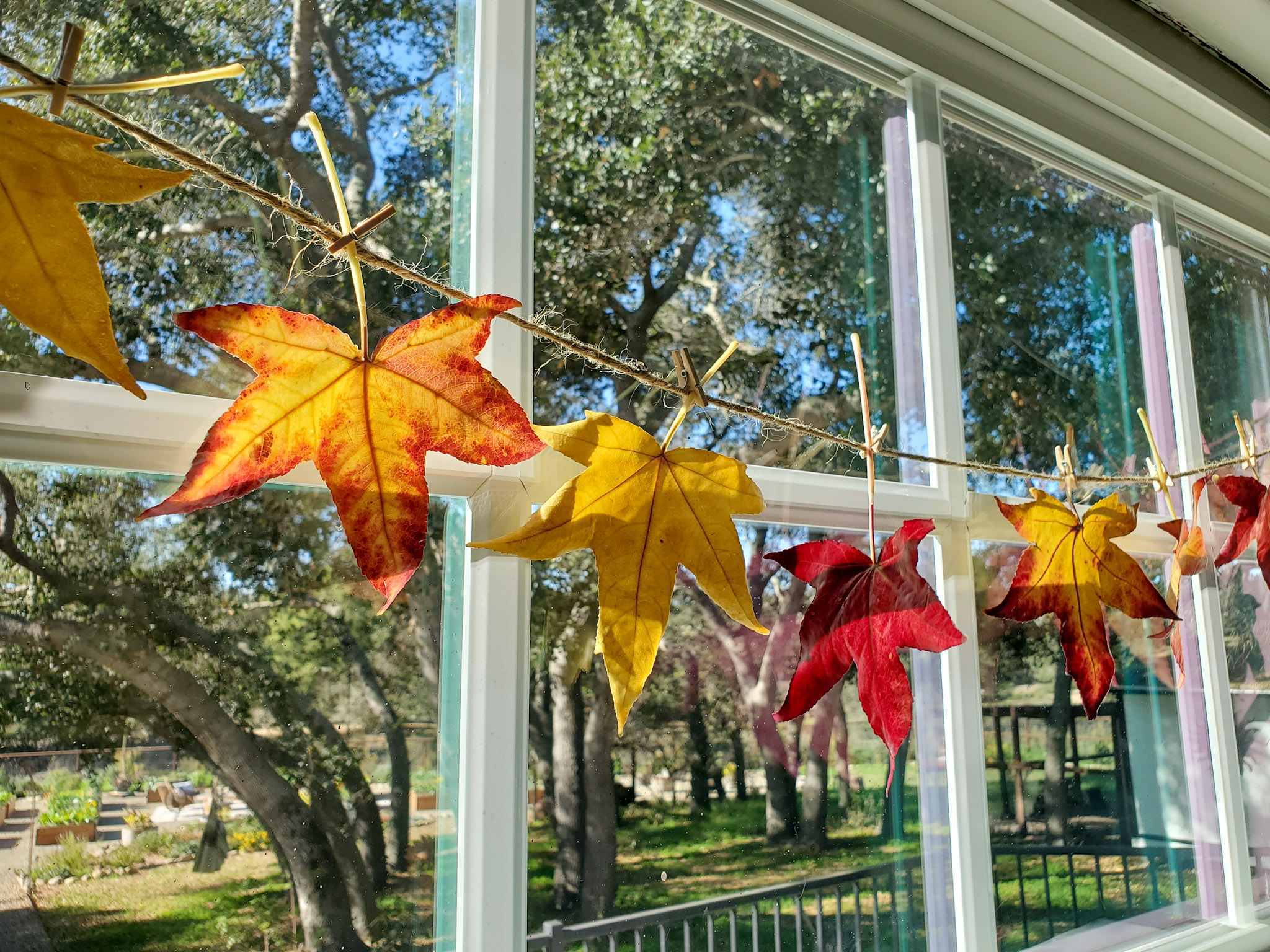 Make a DIY Fall Leaf Garland  ~ Homestead and Chill