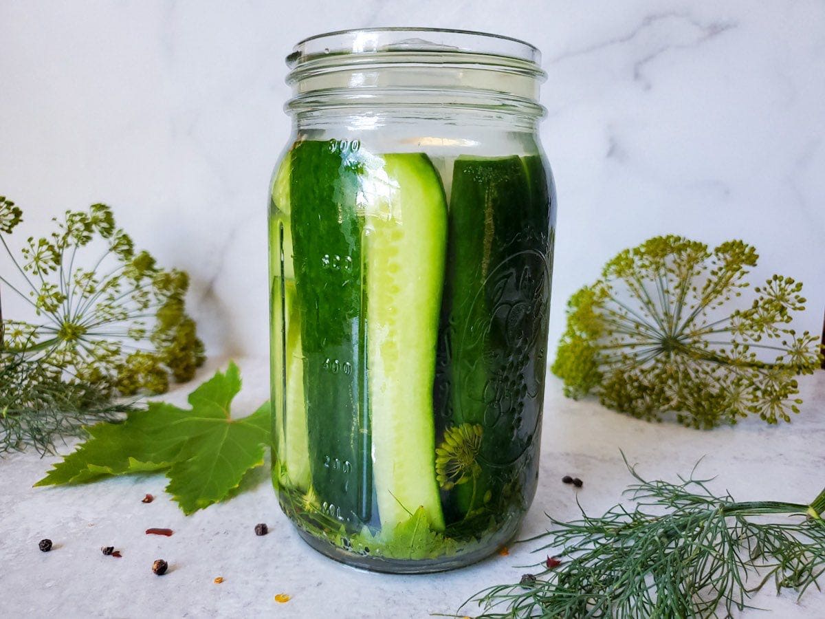 Make Crunchy Brined Cucumber Pickles ~ Homestead and Chill