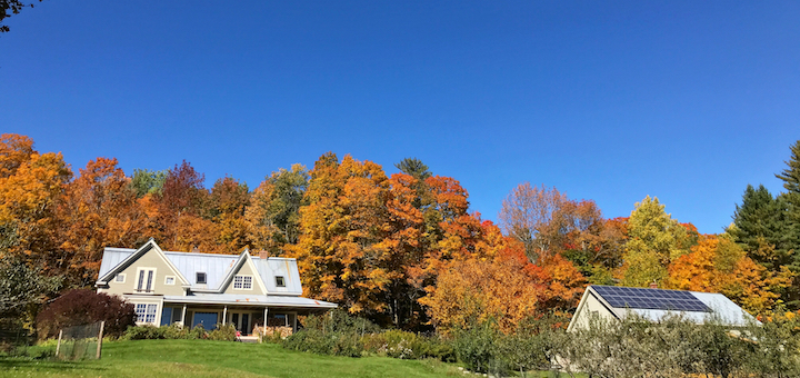 How We’re Preparing To Make Maple Syrup