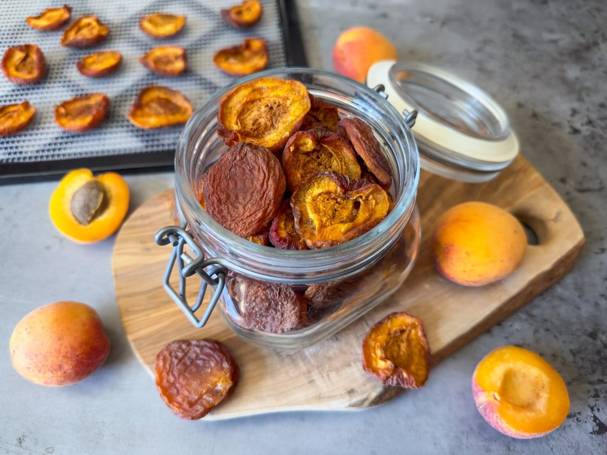 Learn the way to Dry Apricots Two Strategies (Meals Dehydrator or Oven) ~ Homestead and Chill