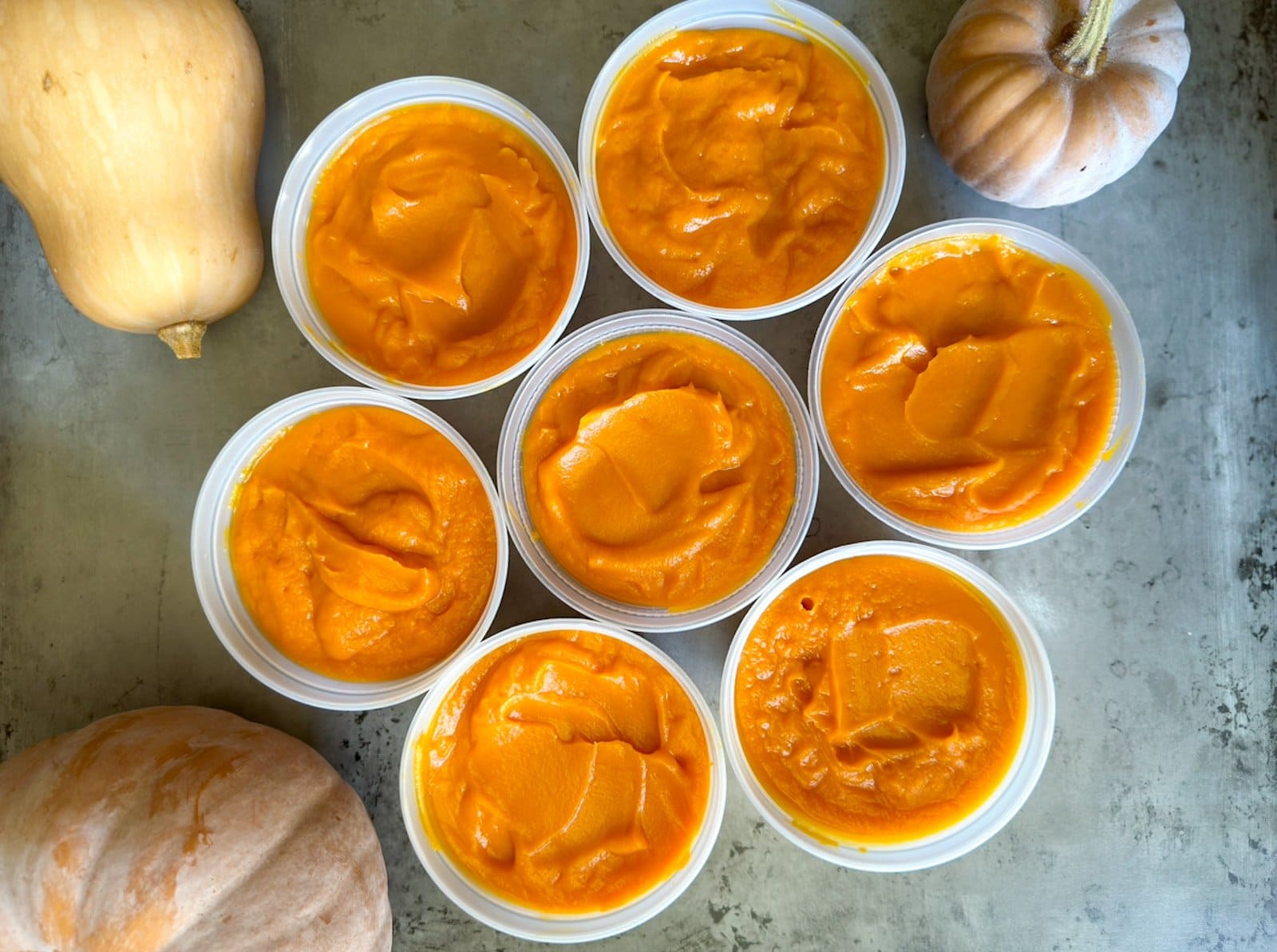 Tips about the way to Make Butternut Squash Puree (Recipe and Freezing Concepts) ~ Homestead and Chill