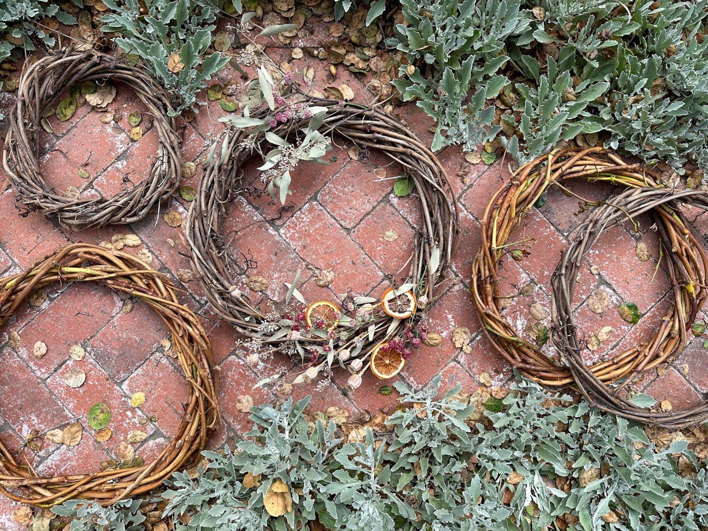 Recommendations on  Make a DIY Grapevine Wreath (or Totally different Vines) + Adorning Ideas ~ Homestead and Chill