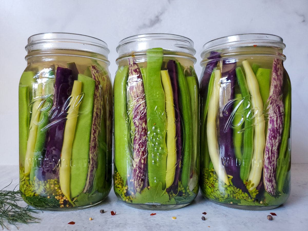 Quick Pickled Dilly Inexperienced Beans (Fridge or Canning) ~ Homestead and Chill