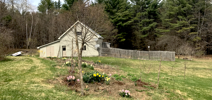 This Month On The Homestead: Mud, Trellises, and The Land Perception