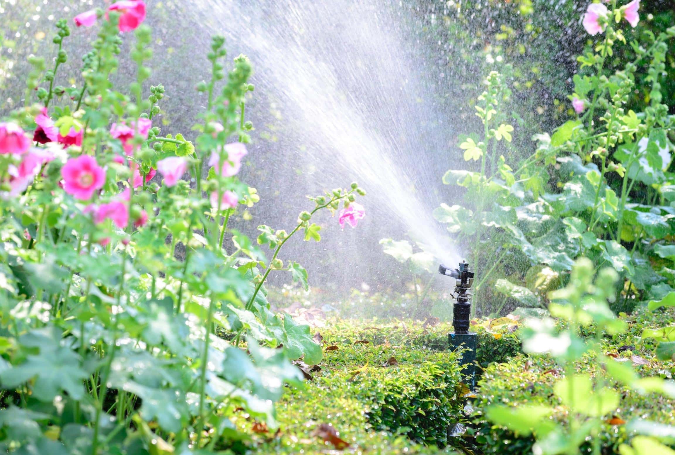 17 Strategies to Save Water throughout the Yard and Panorama ~ Homestead and Chill